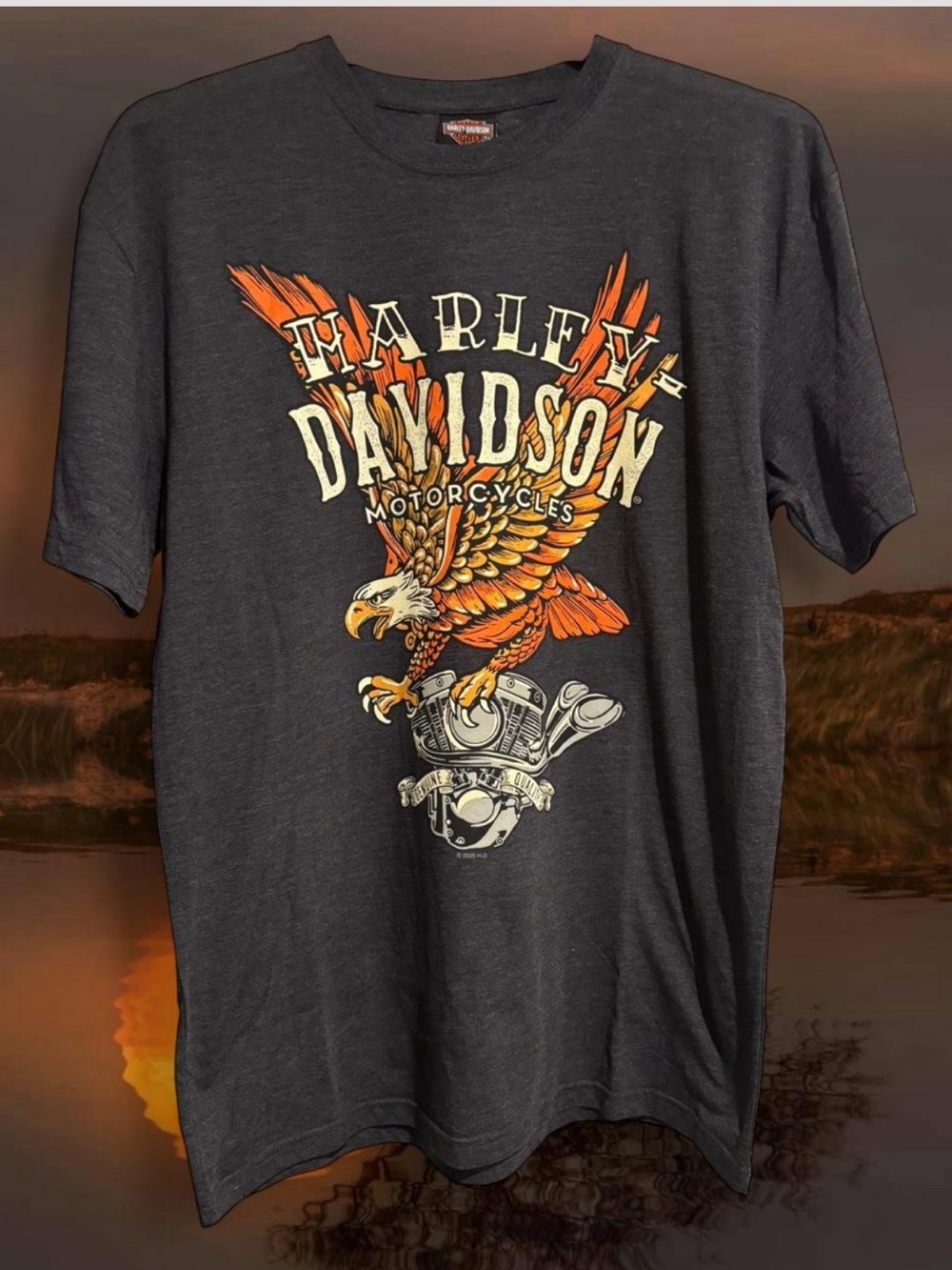 NWT Harley-Davidson Charcoal Gray Epic Graphic Tee Men’s Large